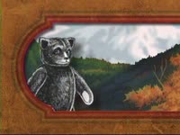 Bear in the Forest ACTN thumbnail