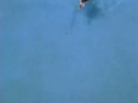 2001 Pool #02 thumbnail