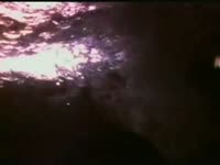 2001 Pool #11 thumbnail
