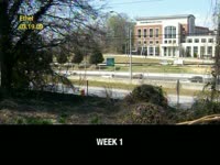 Kudzu Update Week 7 thumbnail