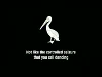 Birds Can Dance thumbnail
