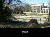 Kudzu Update Week 11 thumbnail