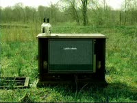 [adult swim] on TV thumbnail