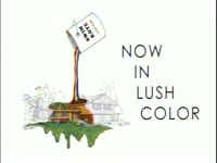 Now in Lush Color thumbnail