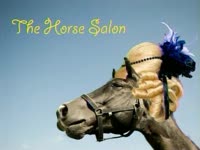 The Horse Salon thumbnail