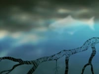 Foggy Fish thumbnail