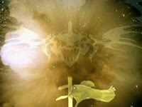 Everything Will Be Metal thumbnail