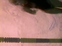2001 Pool #18 thumbnail