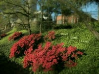 Have Some Spring thumbnail