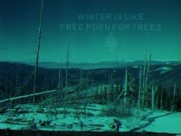 Holidays: Winter for Trees thumbnail