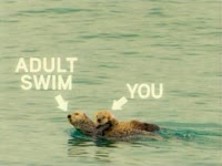 AS and You: Otters thumbnail