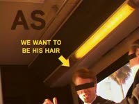 We Want to Be His Hair thumbnail