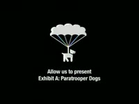 Best Pet: Dogs v. Cats