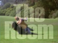 The Room: Park Fight