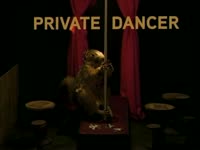 Private Dancer thumbnail