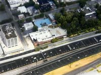 Highway Owl thumbnail