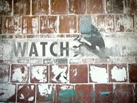 Watch Owl on Wall thumbnail