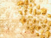 Antibump - Owl Money thumbnail