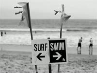 Surf-Swim thumbnail