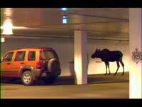 Parking Lot thumbnail
