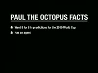 Paul the Octopus Facts thumbnail