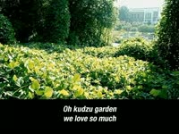 Renovation Poem thumbnail