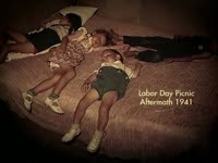 Labor Day Picnic Aftermath