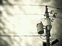 Owl Phone Post thumbnail
