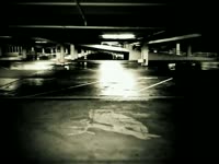 Owl in Parking Lot v2 thumbnail