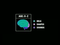 What You're Thinking