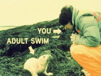 AS and You: Seal thumbnail