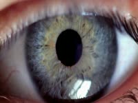 Eyes on Adult Swim