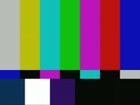 Color Bar Forest