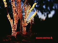 Seasons Greetings Lit Trees thumbnail