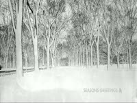 Seasons Greetings Forest thumbnail