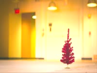 Tannenbaum thumbnail
