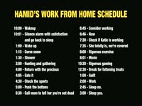 Work From Home: Hamid