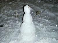 Mordecai Snow Pics thumbnail