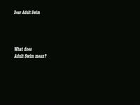What Does AS Mean