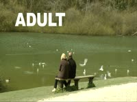 Park Bench Swimmmmm thumbnail