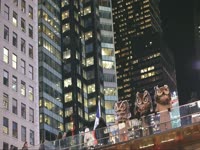 Owls: Bridge at Night