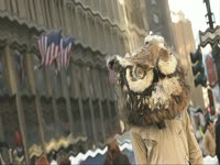 Owls: Blurry Building