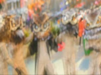 Owls: Fuzzy Dance thumbnail