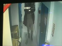 Owls: CCTV Footage