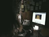 Owls: Strange Monitor thumbnail