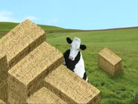Cow on Hay Bales thumbnail