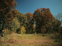 Owls: Leafblower thumbnail
