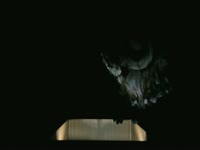 Owls: Flickering Light thumbnail