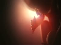 Fetus Opens Eyes thumbnail