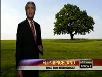 Flip's Tips: Trees thumbnail